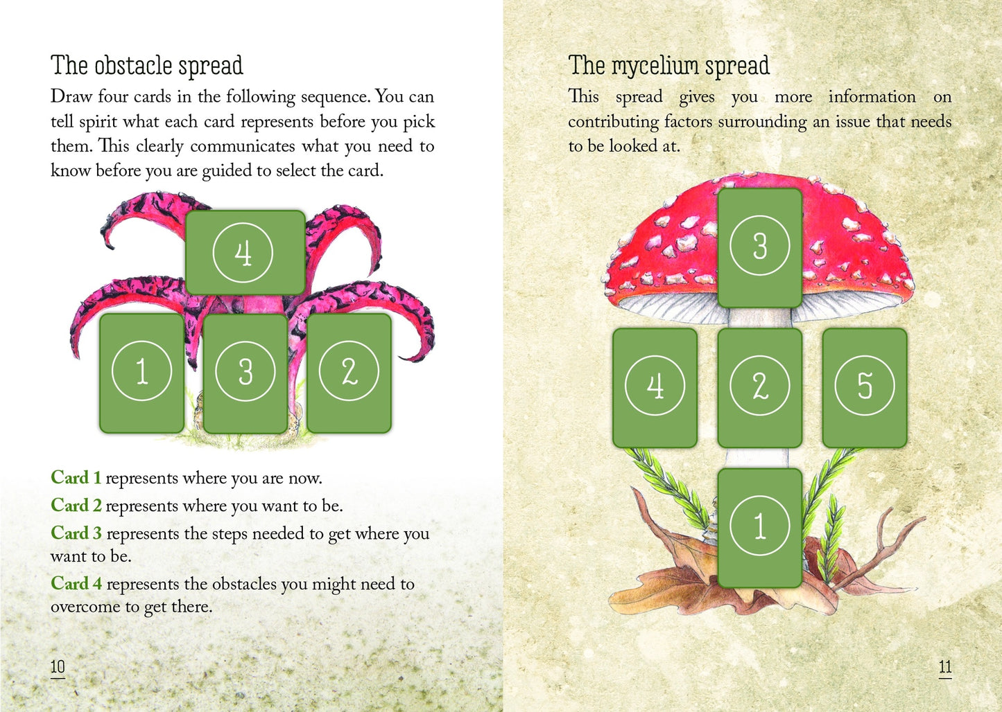 Mushroom Spirit Oracle Cards