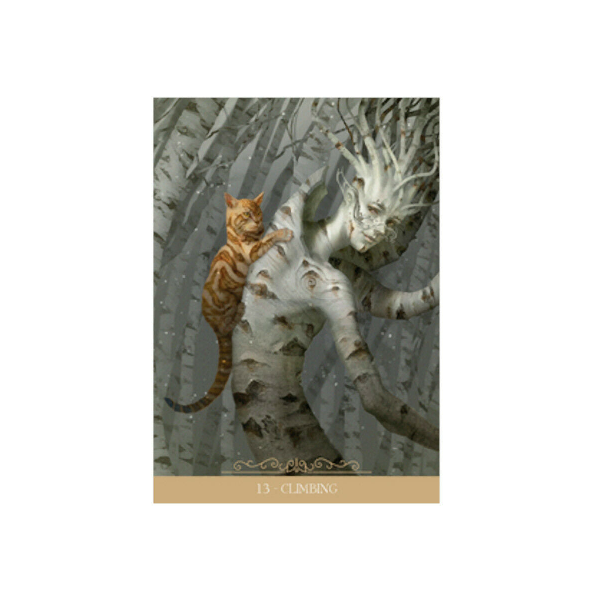 Barbieri Fantasy Cats Oracle - Lo Scarabeo