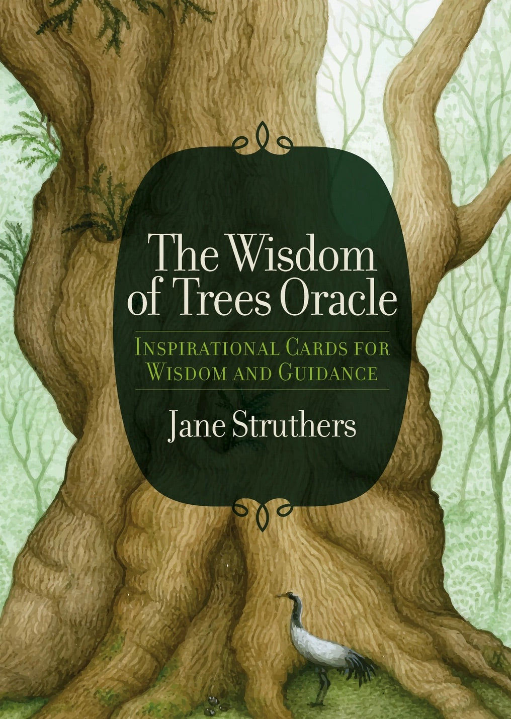 Wisdom of Trees Oracle Cards