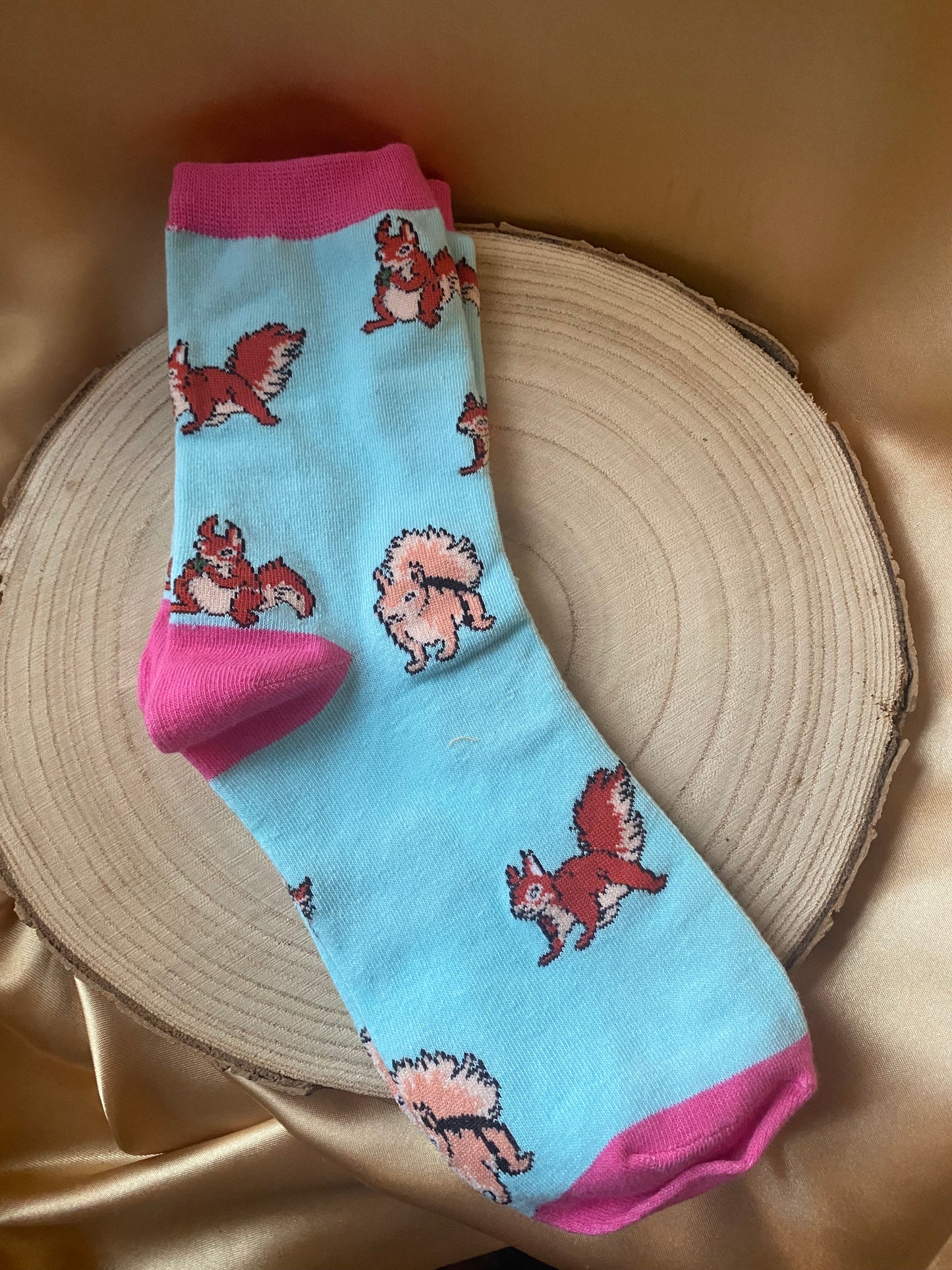 Blue Squirrel Socks