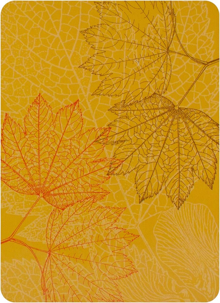 Wisdom of Trees Oracle Cards