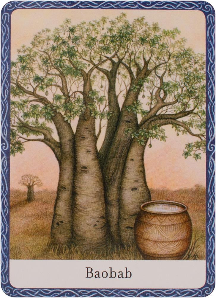 Wisdom of Trees Oracle Cards
