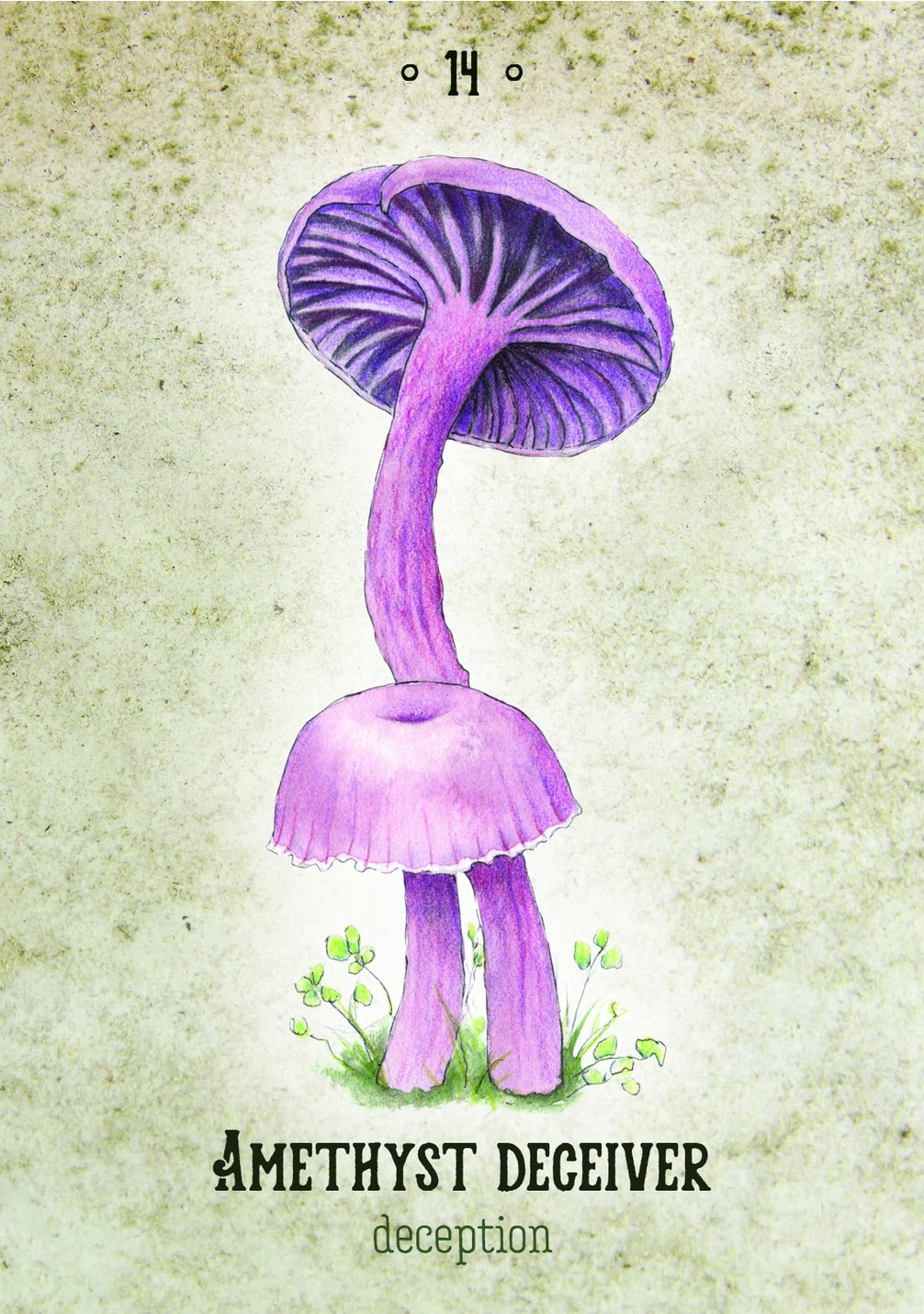 Mushroom Spirit Oracle Cards
