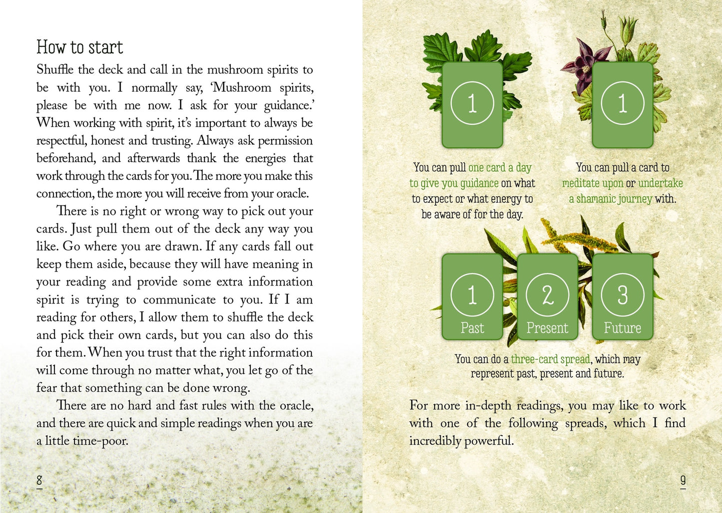 Mushroom Spirit Oracle Cards