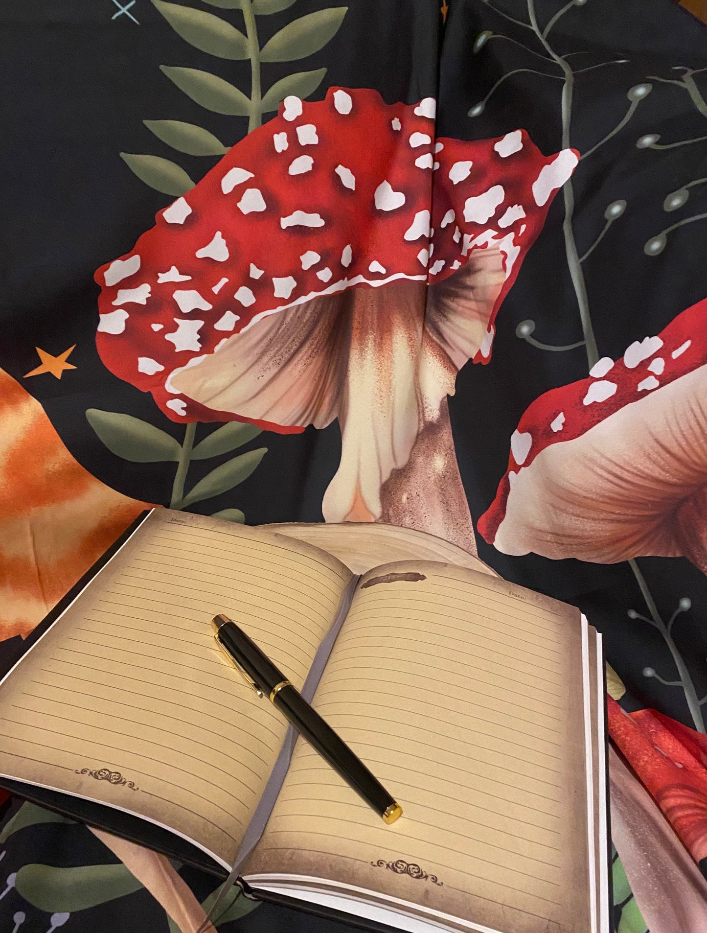 Silver Phoenix Journal