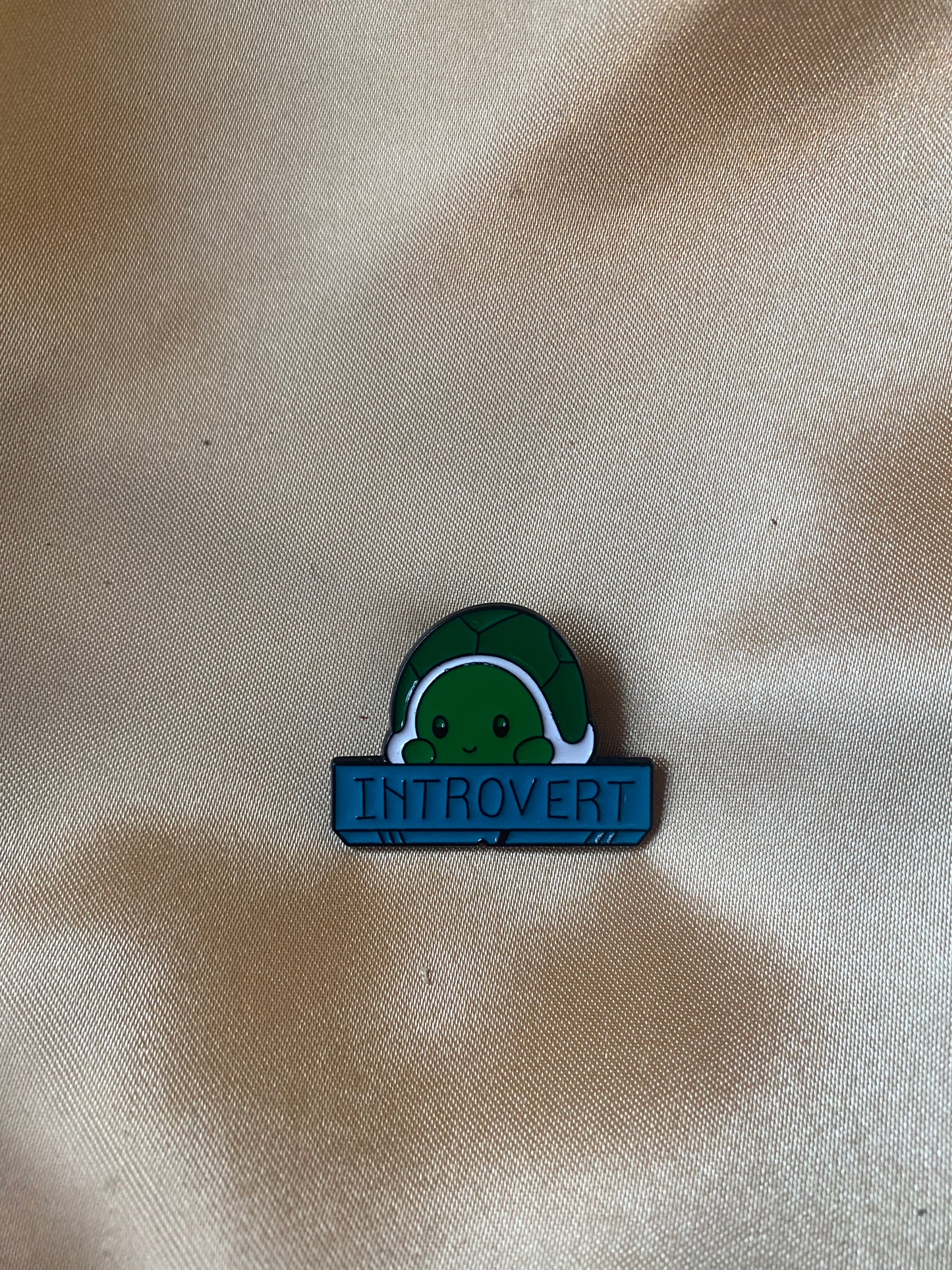 “Introvert” Turtle Pin Badge